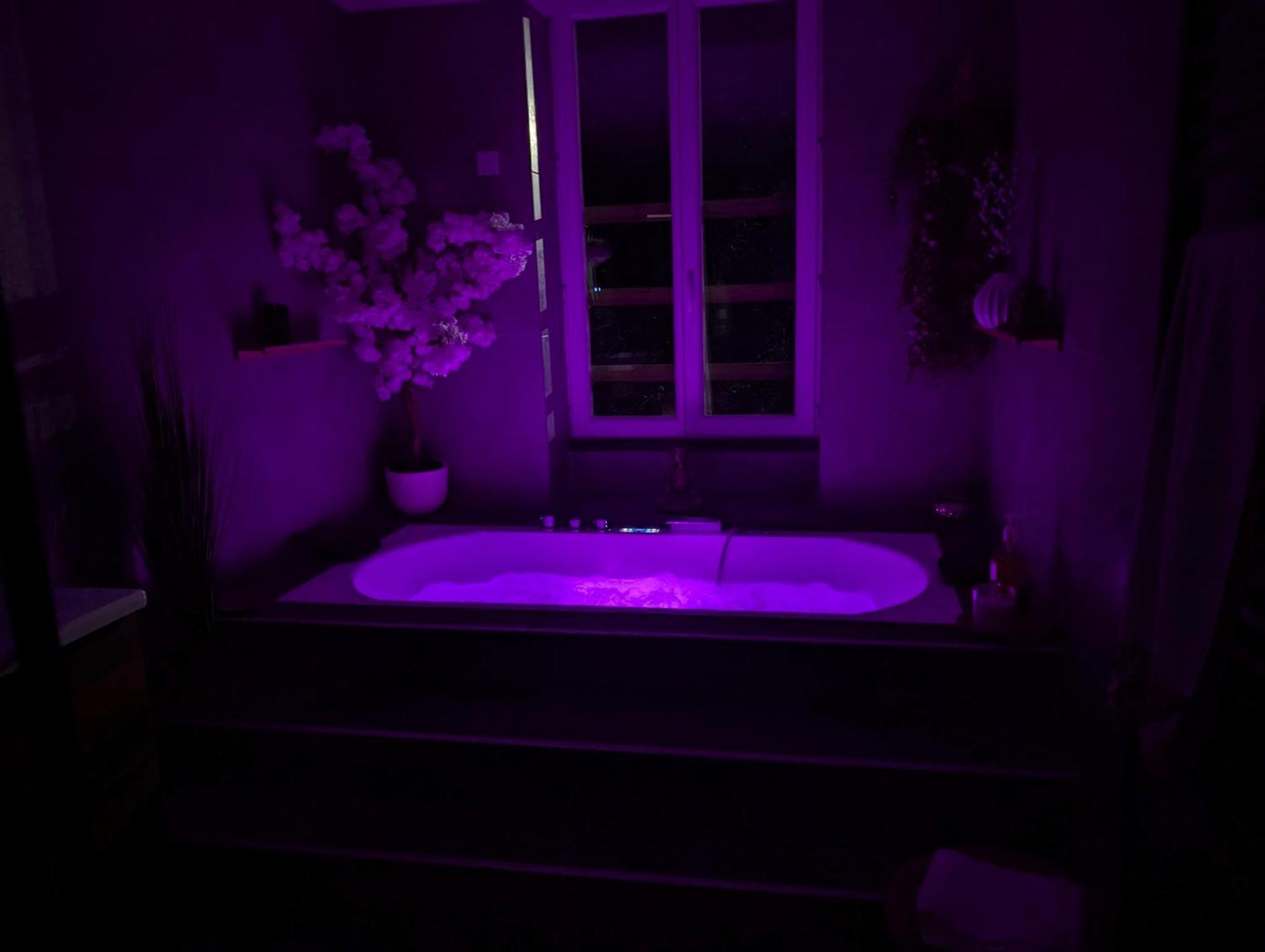 Le Spa - Villa Valmy - Hypercentre - Gare Sncf มงต์ลูซง ภายนอก รูปภาพ